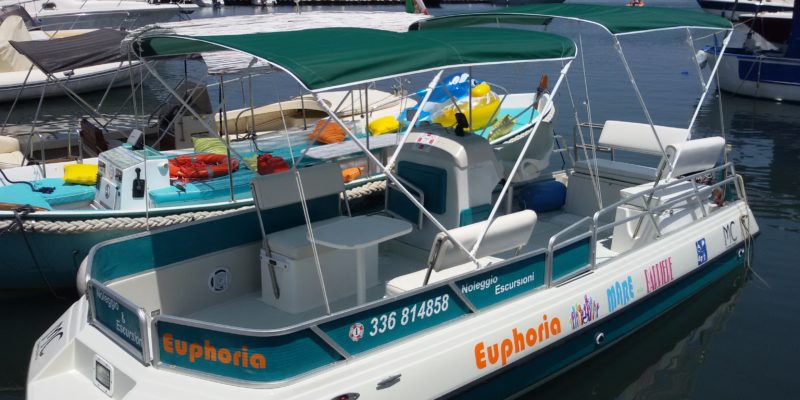 Pontoon Boat Euphoria